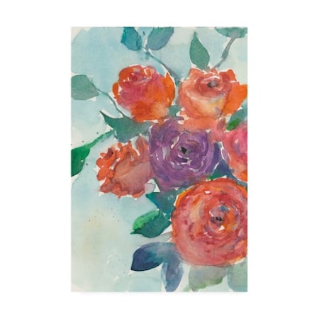 Samuel Dixon 'Rose Appeal I' Canvas Art,16x24